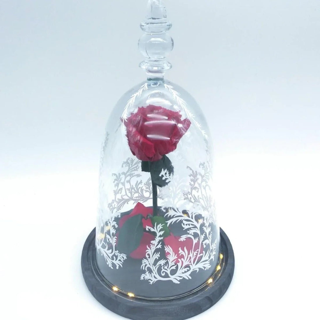 El Encanto Infinito de las Rosas en Cúpulas de Cristal - Floreate