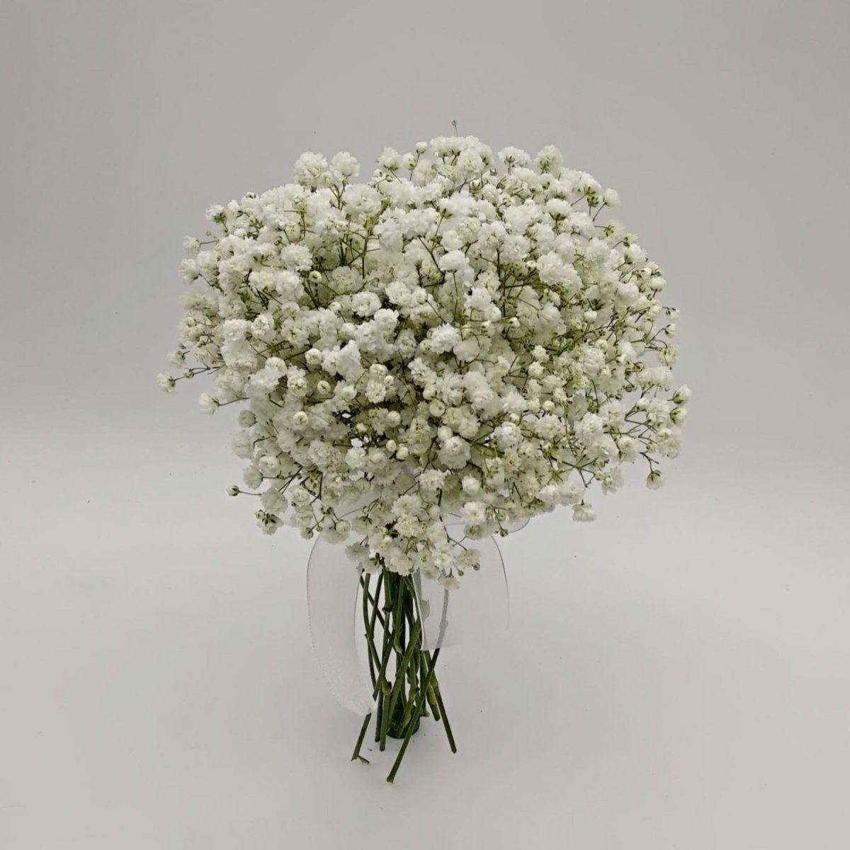 Bouquet de paniculata natural FRESCA Floreate