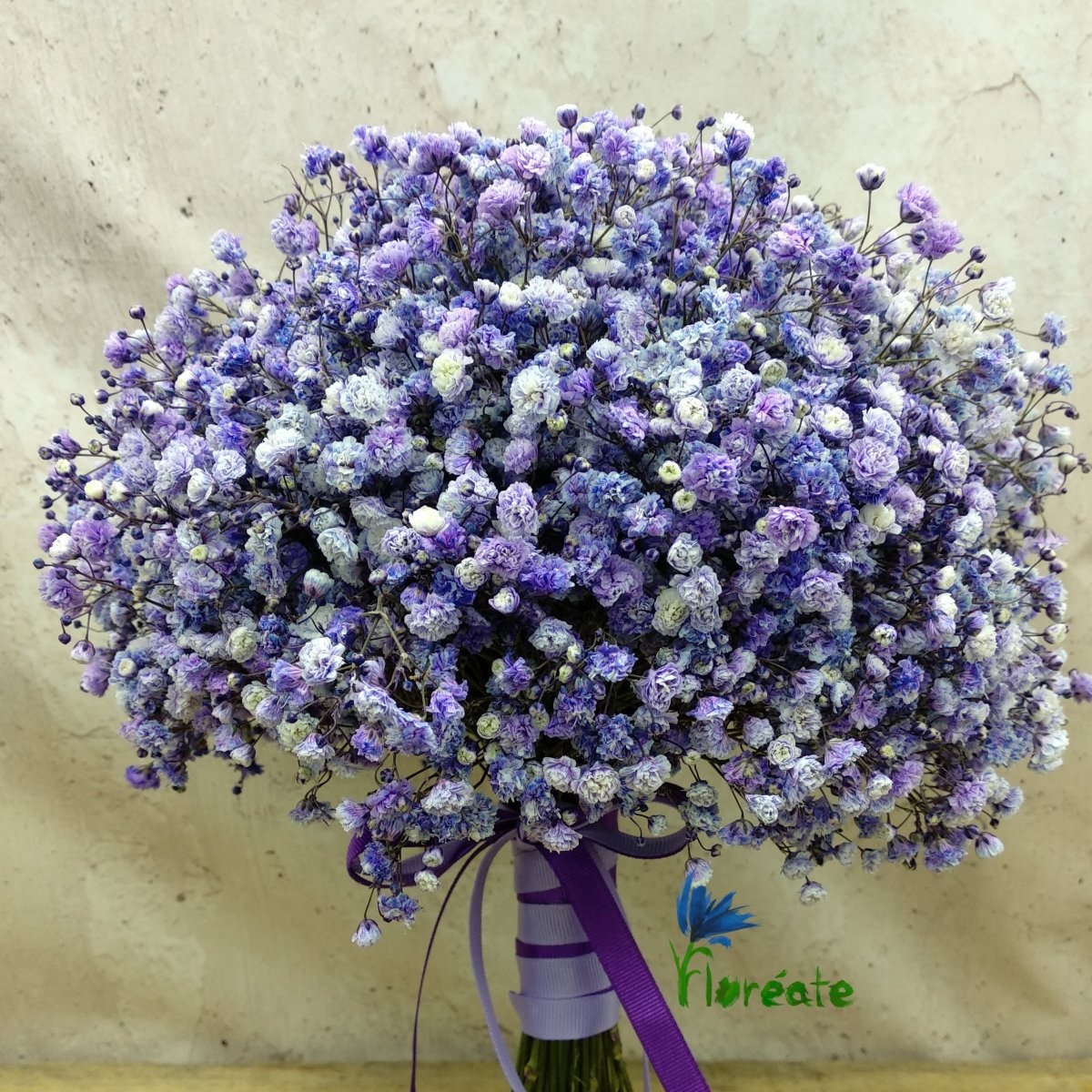 Bouquet de paniculata natural FRESCA