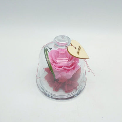 Cúpula bombonera con rosa eterna Floreate