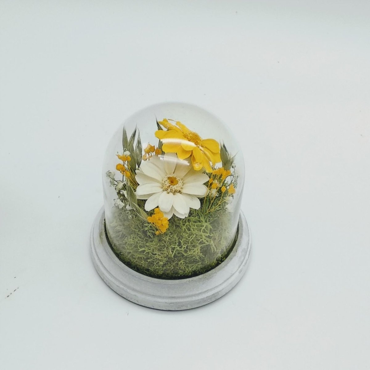Cúpula mini de cemento con flores eternas Floreate