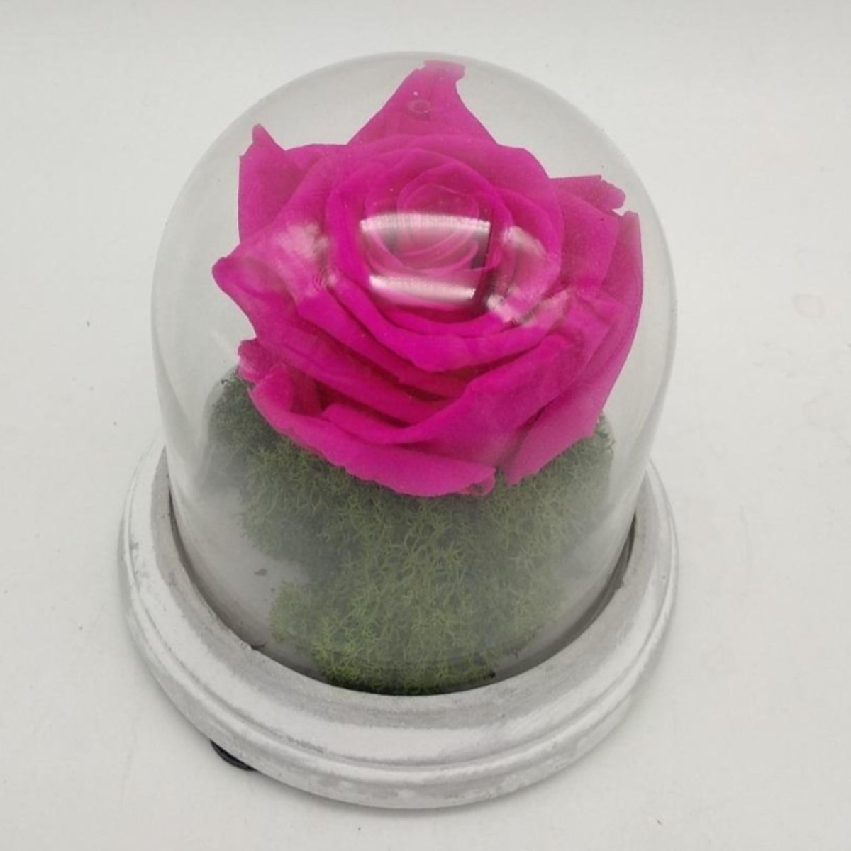 Cúpula mini de cemento con flores eternas Floreate