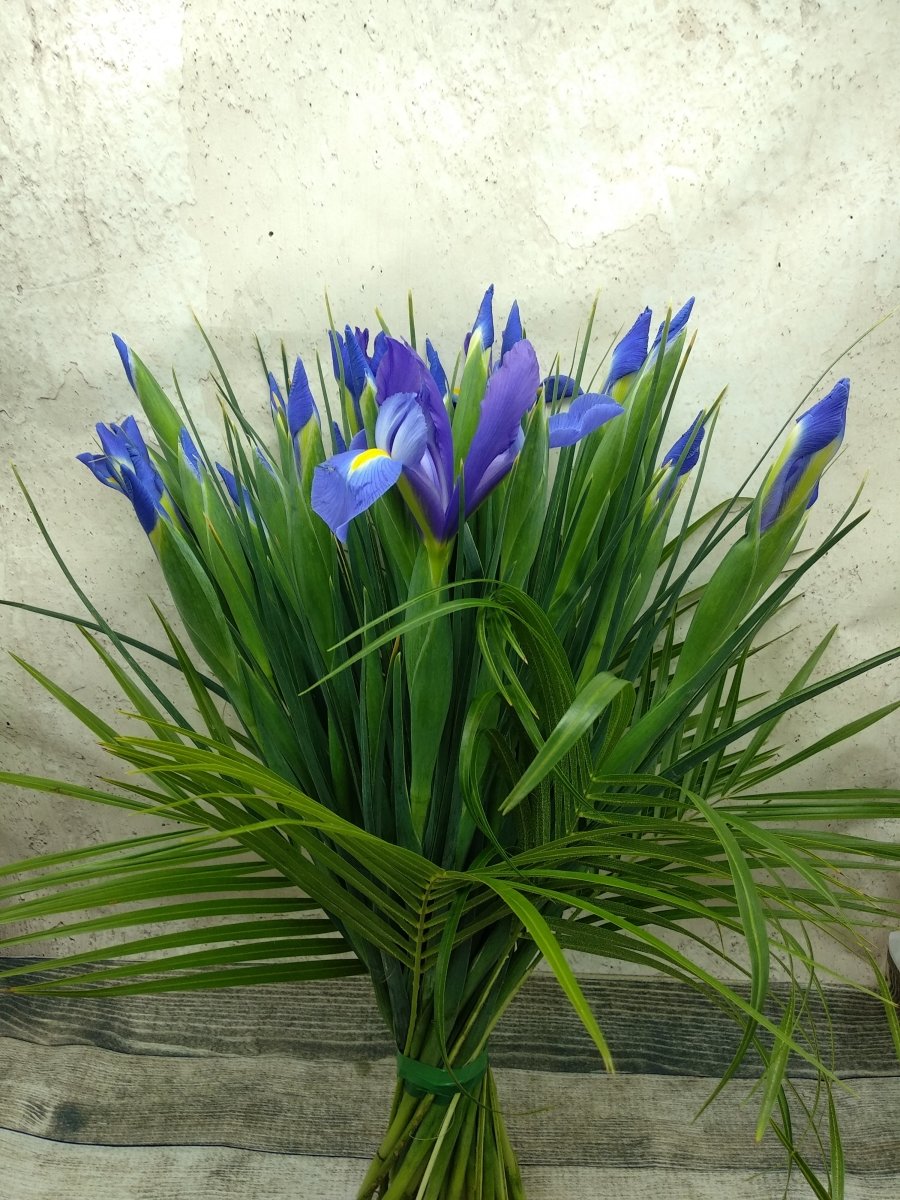 Ramo de iris frescos