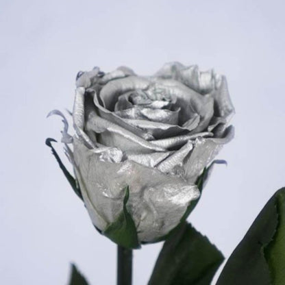 Rosa eterna preservada colores metálizados de Floréate Floreate