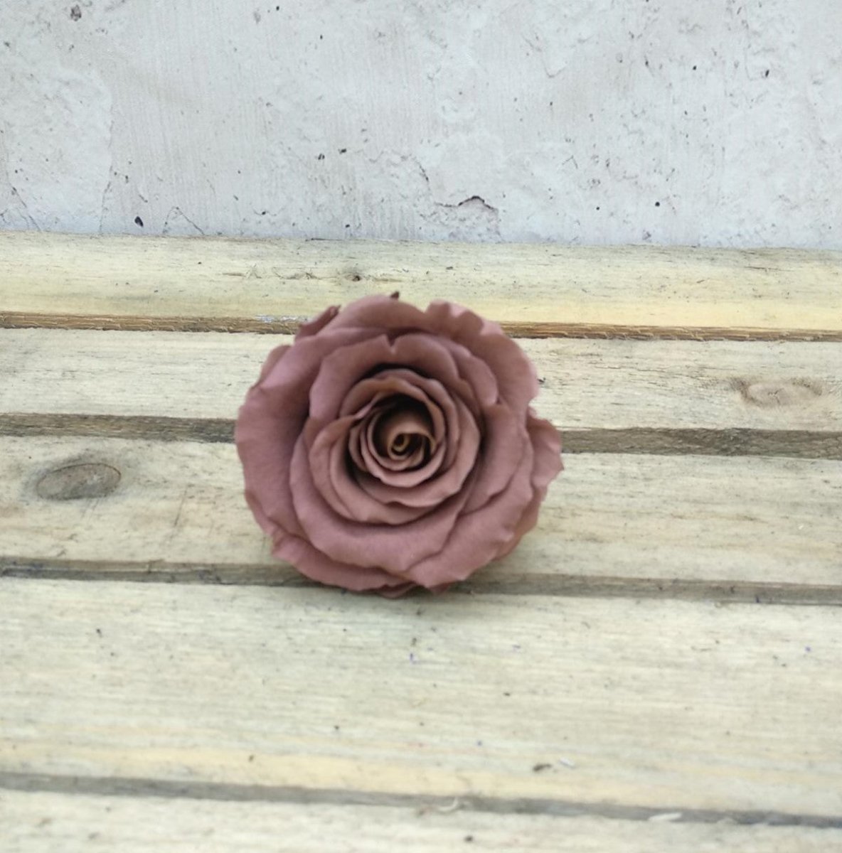 Rosa eterna preservada de 25cm de Floréate