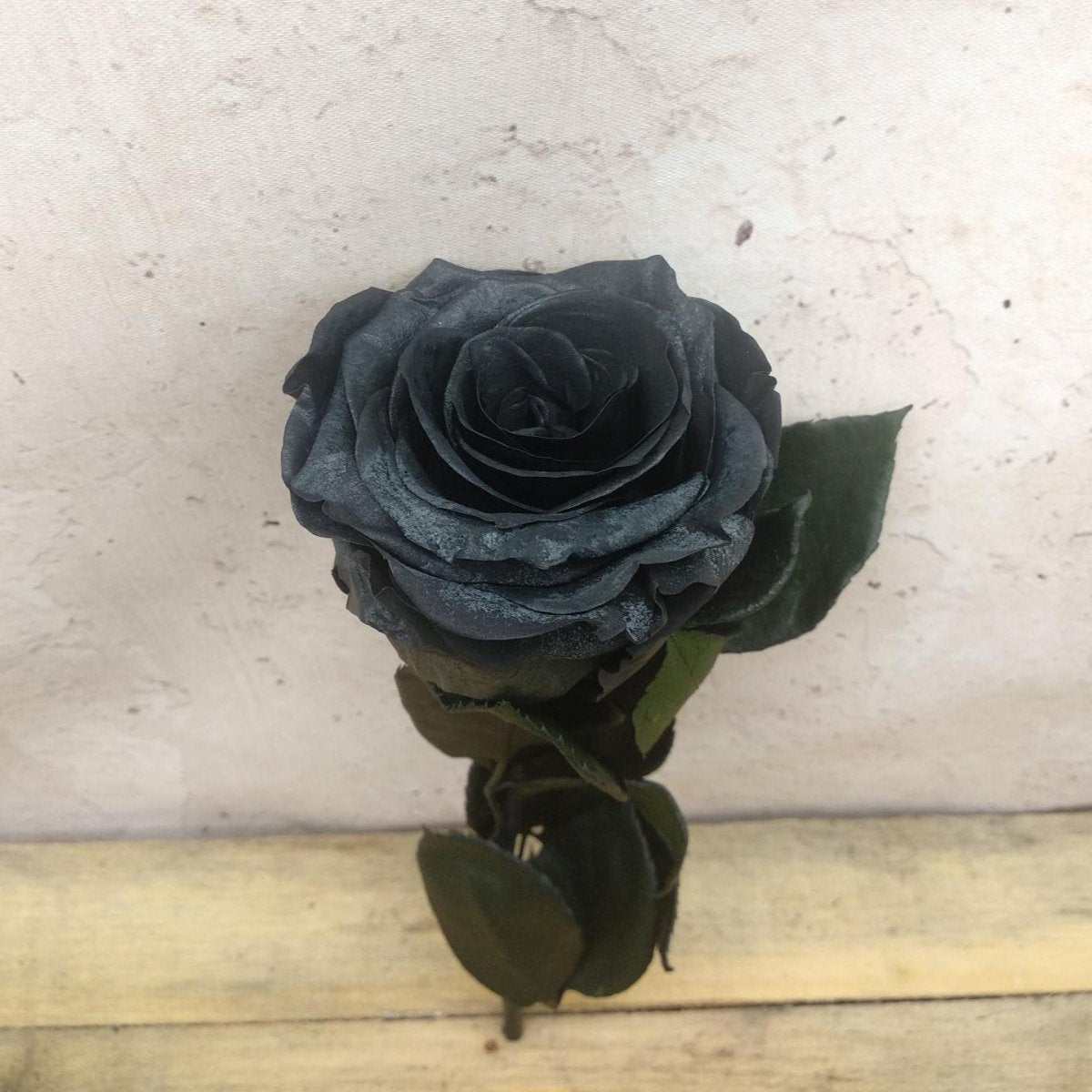 Rosa eterna preservada de 25cm de Floréate