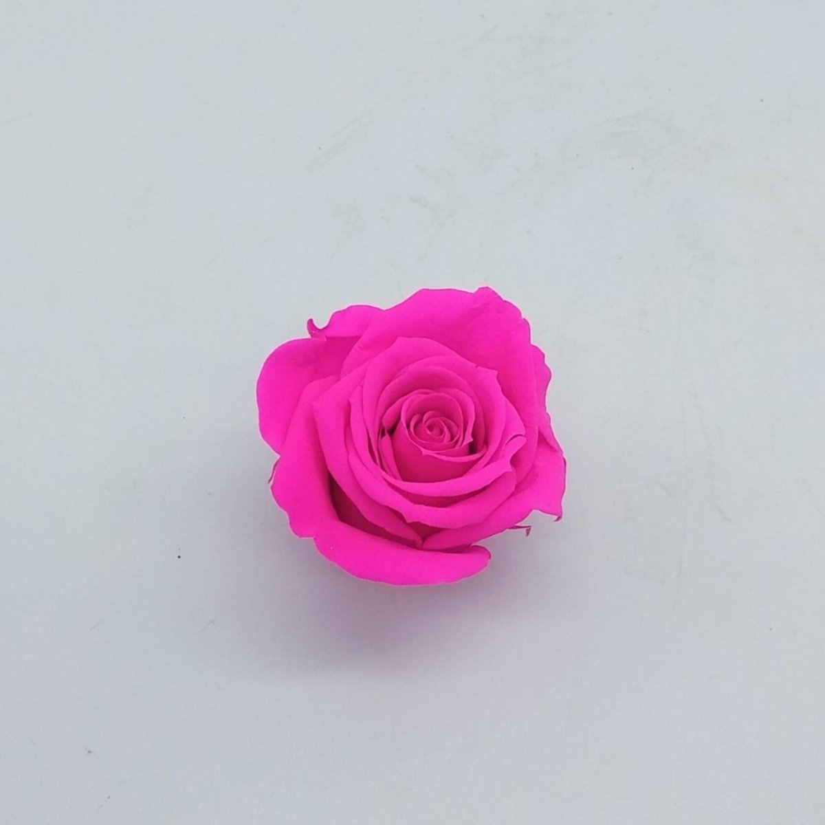 Rosa eterna preservada de Verdissimo Floreate