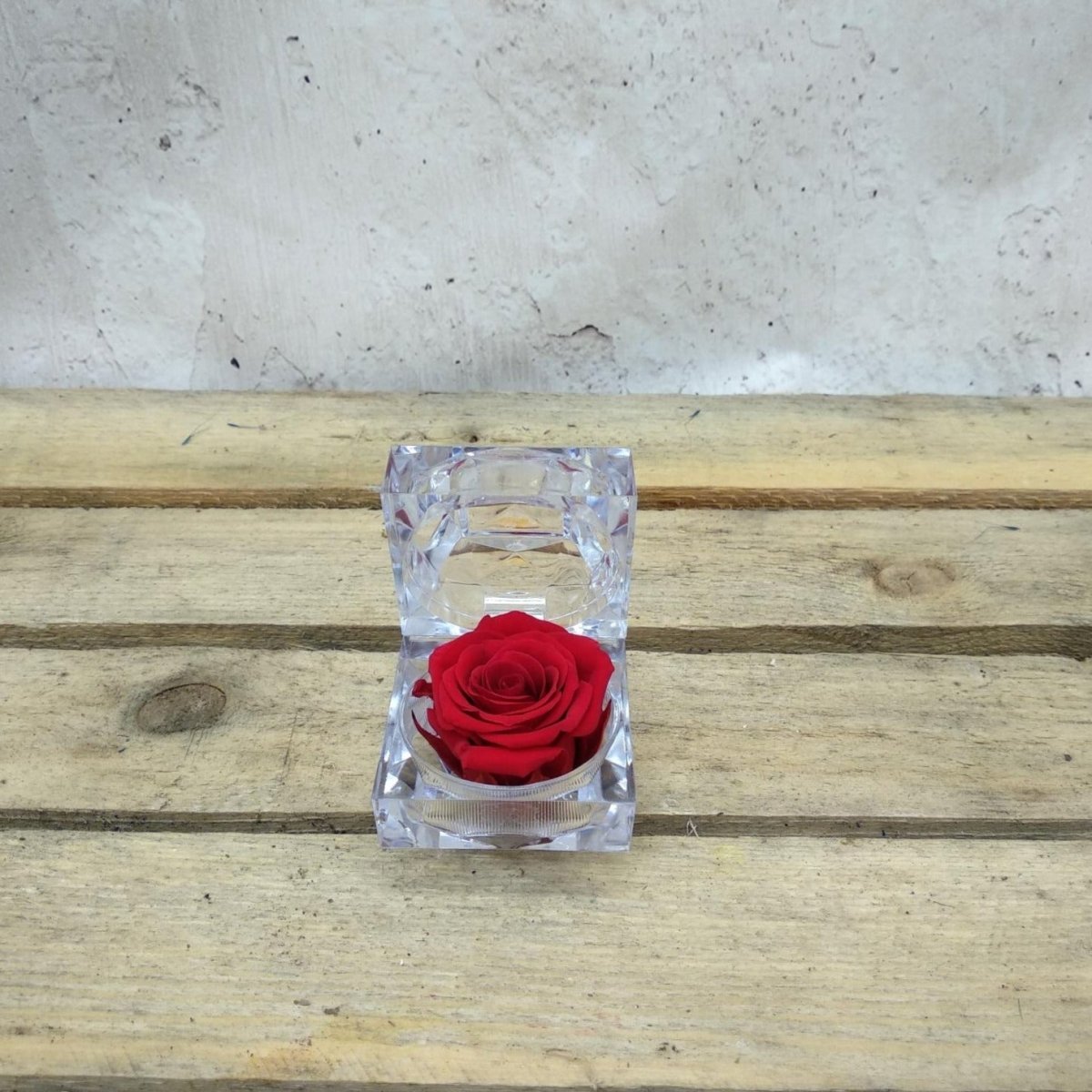 Rosa roja con caja Jewel de 4.5 cm
